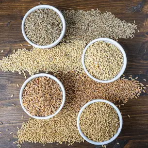 Magas fehérjetartalmú növényi alapanyagok - 2/2 rész